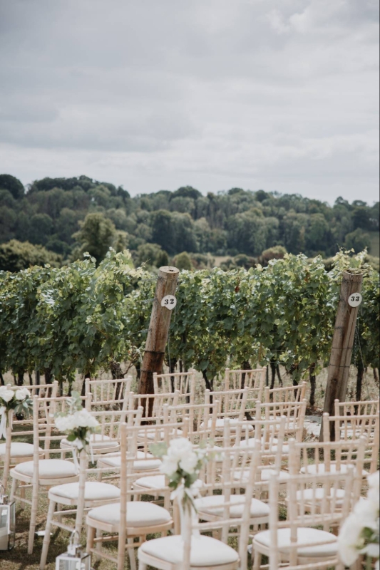 Gallery image 7: hambledon-vineyard