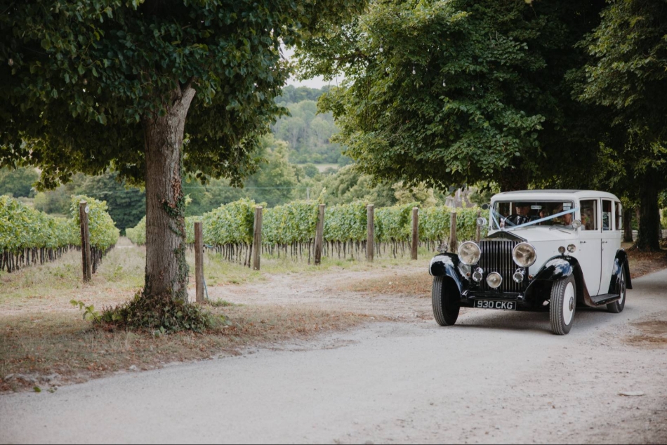 Gallery image 8: hambledon-vineyard