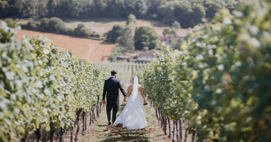 Image 2: Hambledon Vineyard