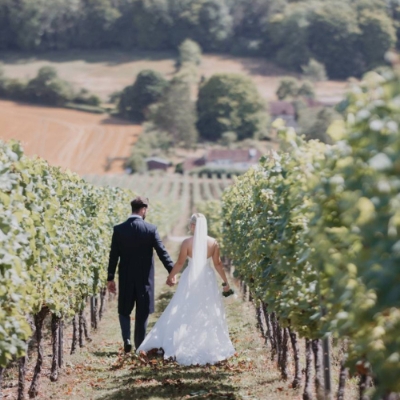 Image 2: Hambledon Vineyard