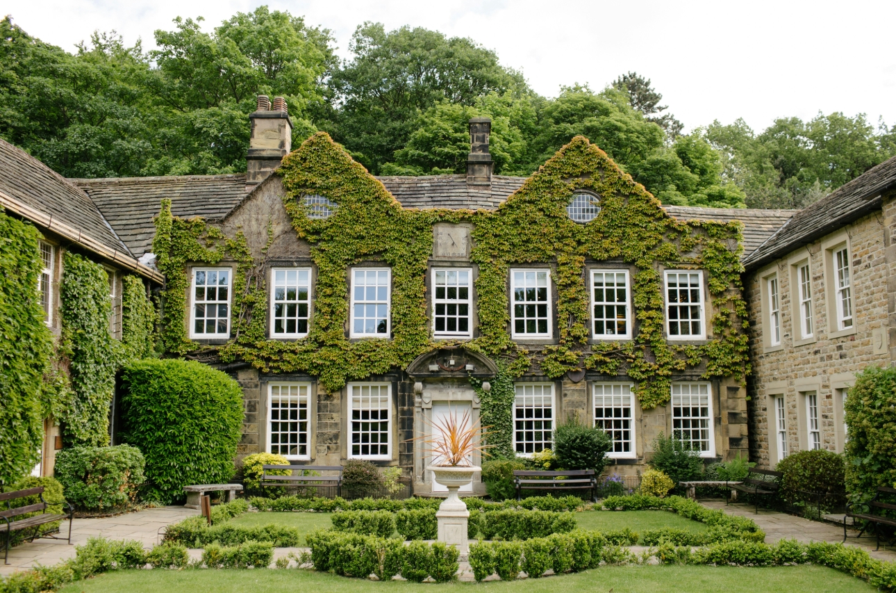 ivy clad house