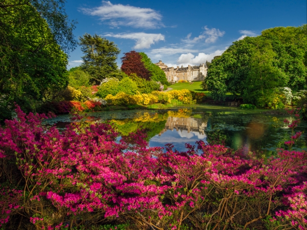 Glenapp Castle gardens