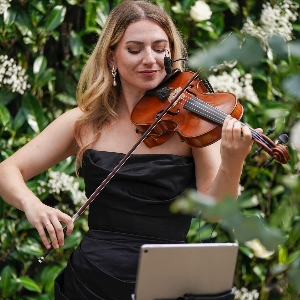 Solas Strings