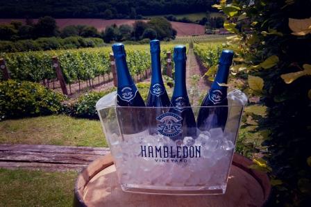 Hambledon Vineyard